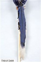 臺灣藍鵲藏品圖，第10張